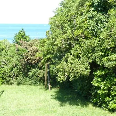 Chibau Berria-apercu Et Montagne A Cote De La *
